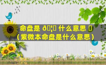 命盘是 🦋 什么意思 ☘ （紫微本命盘是什么意思）